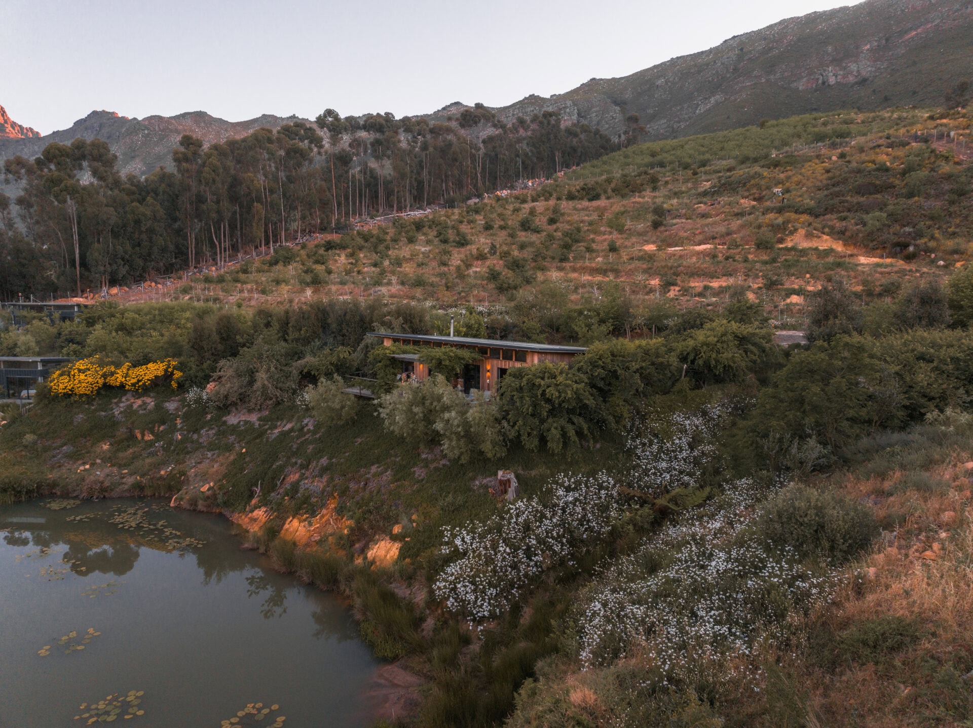 Camissa Farm Stellenbosch Cabin