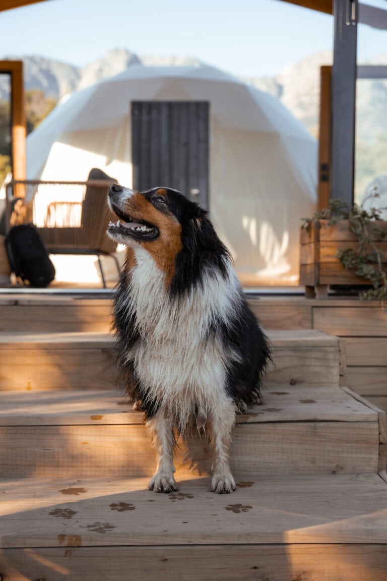 Streamside Geodome Tulbagh Unique stay