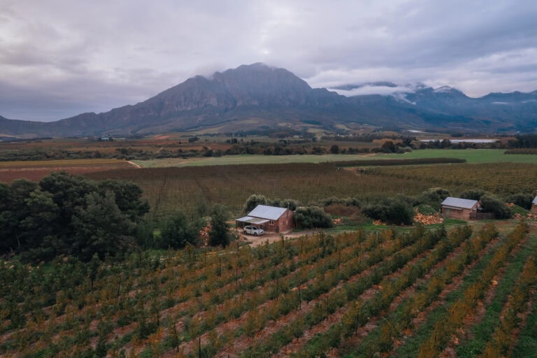 Southern Belle Bergsicht Tulbagh Cabin