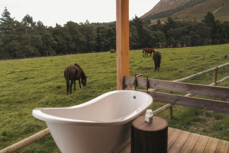 casey tibbs cabin hemel n aarde stud farm hermanus